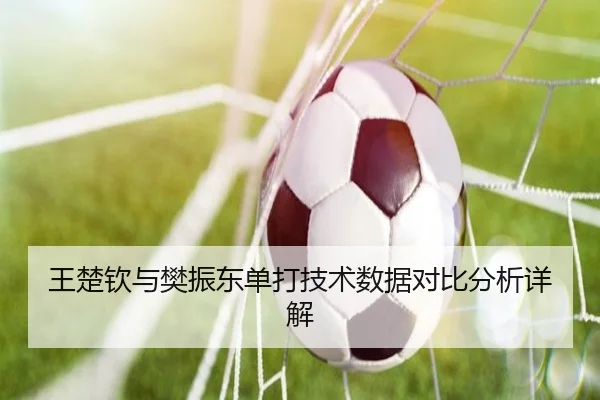 王楚钦与樊振东单打技术数据对比分析详解